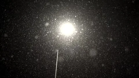 Snowfall continues Stock Footage 169117829