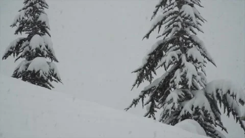 Snowfall continues Stock Footage 169117857