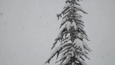 Snowfall continues Stock Footage 169118271