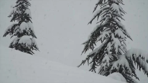 Snowfall continues Stock Footage 169119242