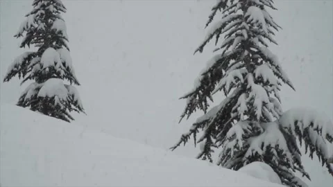 Snowfall continues Stock Footage 169119270