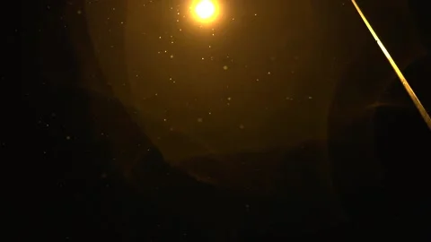 Snowfall continues Stock Footage 169258123