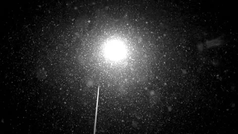 Snowfall continues Stock Footage 169371674