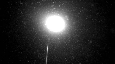 Snowfall continues Stock Footage 169371749