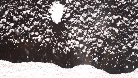 Snowfall continues Stock Footage 169372356