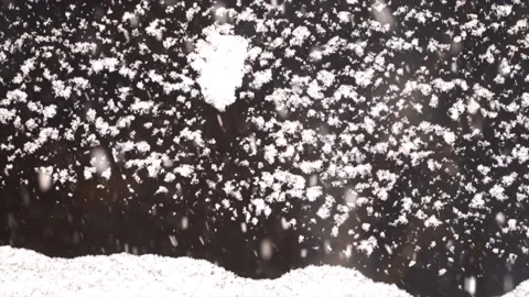 Snowfall continues Stock Footage 169372388