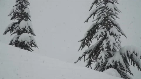 Snowfall continues Stock Footage 169372411