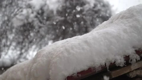 Snowfall continues Stock Footage 169419059