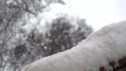 Snowfall continues Stock Footage 169419127