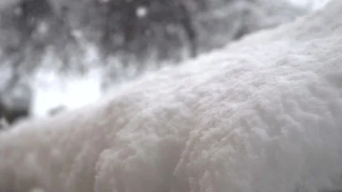 Snowfall continues Stock Footage 169419128