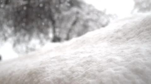 Snowfall continues Stock Footage 169419346