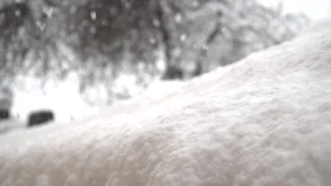 Snowfall continues Stock Footage 169419435