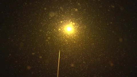 Snowfall continues Stock Footage 169420157