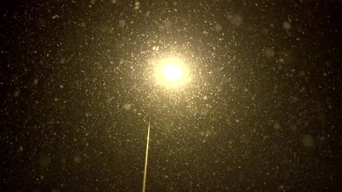 Snowfall continues Stock Footage 169420248