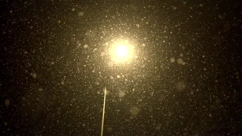 Snowfall continues Stock Footage 169420310