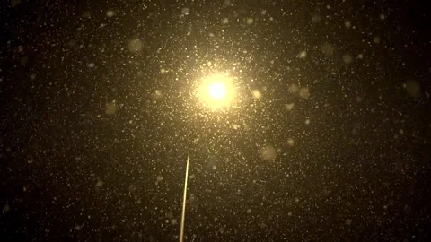 Snowfall continues Video stock 169420333