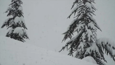 Snowfall continues Stock Footage 169421060