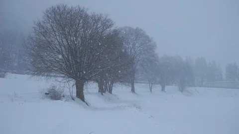 Snowfall in the country 库存影片 86894789