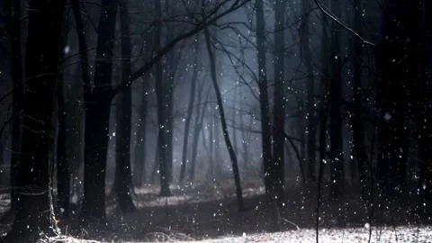 Snowfall in Dark Forest with Bare Trees a Cinematic Winter Landscape Nature.. Stock-Footage 321948267