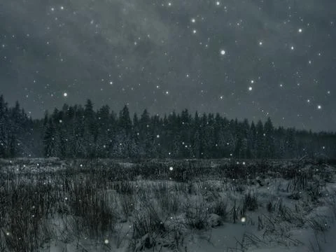 Snowfall in dark winter forest Stock Photos
