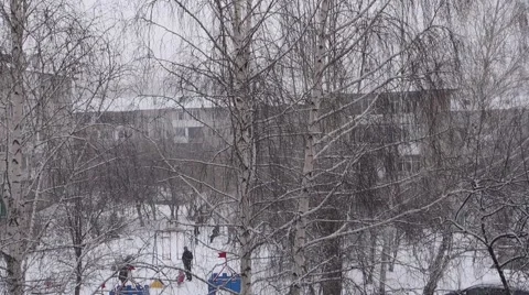 Snowfall in a day Stock Footage 48046888