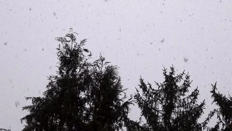 Snowfall during the Christmas holidays Stock Footage 299570540