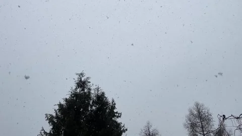Snowfall during the Christmas holidays Stock Footage 299570605