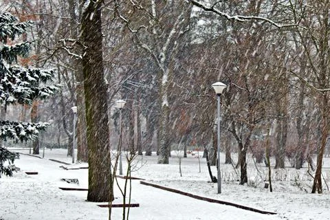 Snowfall in empty park on winter day Foto stock
