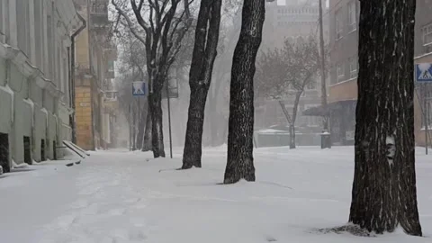 Snowfall on empty street. Low angle shooting Stock Footage 142741519