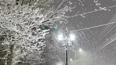 Snowfall in evening. Snowflakes fall in flakes against background of a black sky Stock Footage 262577619