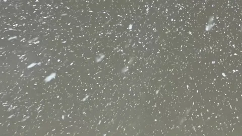 Snowfall in the evening. Snowflakes fall in flakes against black sky. Stock Footage 262577710