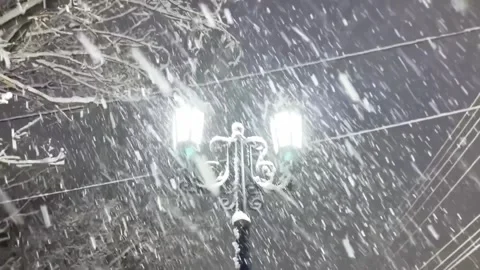 Snowfall in evening. Snowflakes fall in flakes against background of a black sky Stock Footage 262577766