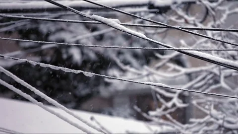 Snowfall falling, frosty, blizzard, cold, snowing, snowflakes, ice on wires 1739 Stock Footage 83736323