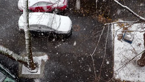 Snowfall, falling snow covers the street with snow. Stock Footage 166945683