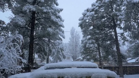 Snowfall in Flagstaff backyard Video stock 122724827