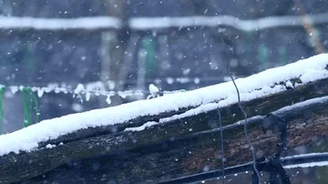 Snowfall: flakes fly in the wind, blizzard, snowstorm, snowing Video stock 86090534
