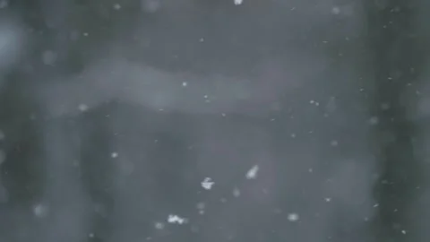 Snowfall Flakes Of Snow Falling Down Winter Landscape Vidéo 347801812