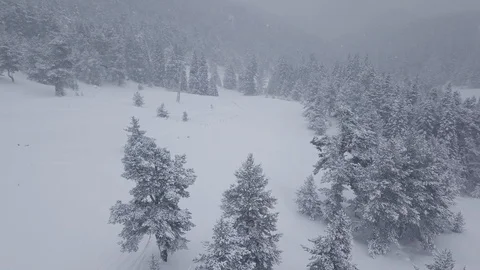 Snowfall in the foggy forest movement back 스톡 동영상 101247307