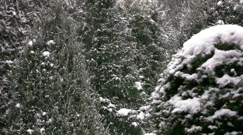 Snowfall 스톡 동영상 664970