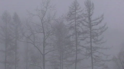 Snowfall Stockbeeldmateriaal 693458