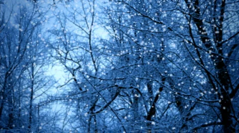 Snowfall Stock Footage 976769