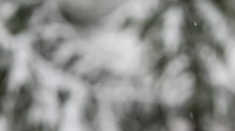 Snowfall Stock Footage 10568348