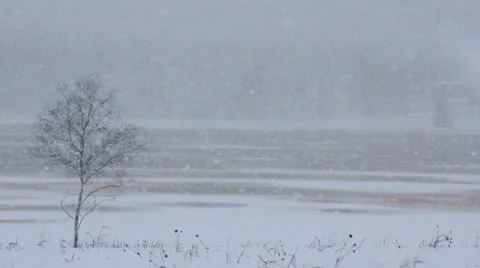 Snowfall Stock Footage 10587817