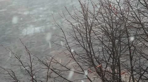 Snowfall Stock Footage 10608263
