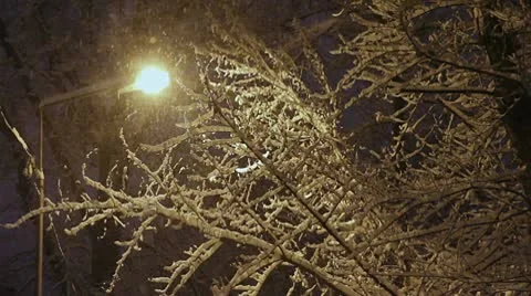 Snowfall Stock Footage 10709682