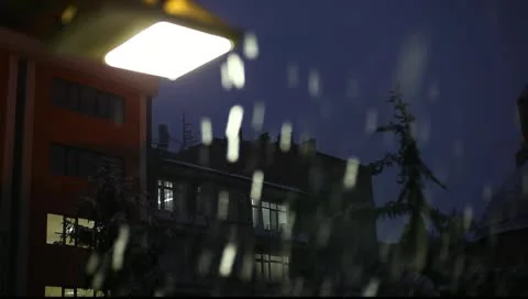 Snowfall Vídeo Stock 10744754