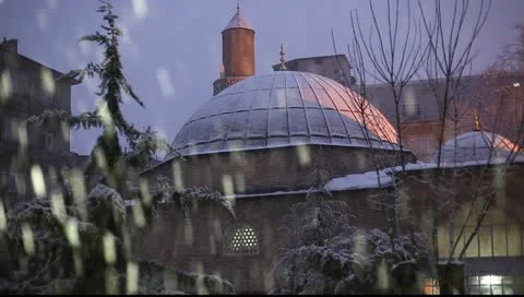 Snowfall Stock Footage 10744796