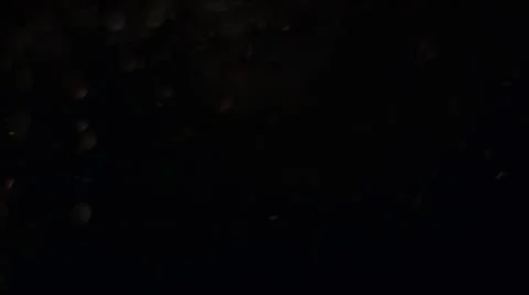 Snowfall Stock Footage 10768298