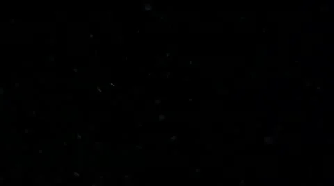 Snowfall Stock Footage 10768301