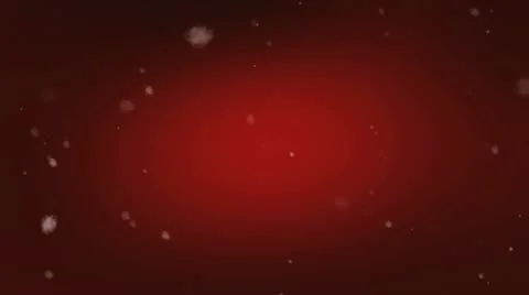 Snowfall Stock Footage 10812986